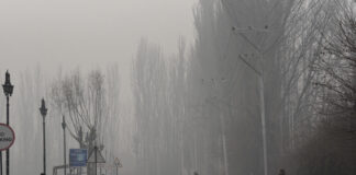 Cold Tightens Grip Across Kashmir As Night Temperatures Drop, Amid Rain, Snow Forecast