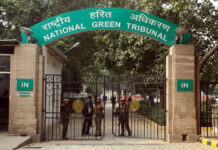 NGT takes suo motu cognizance of climate crisis in Ladakh UT