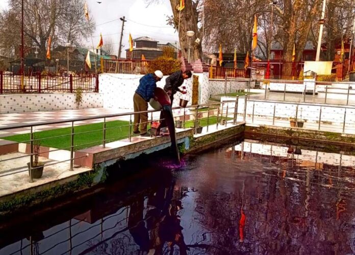 Officials of Fisheries Department pouring some anti fungal medicine in waters of holy spring Mattan where sudden death of fish have taken place over last one week.
