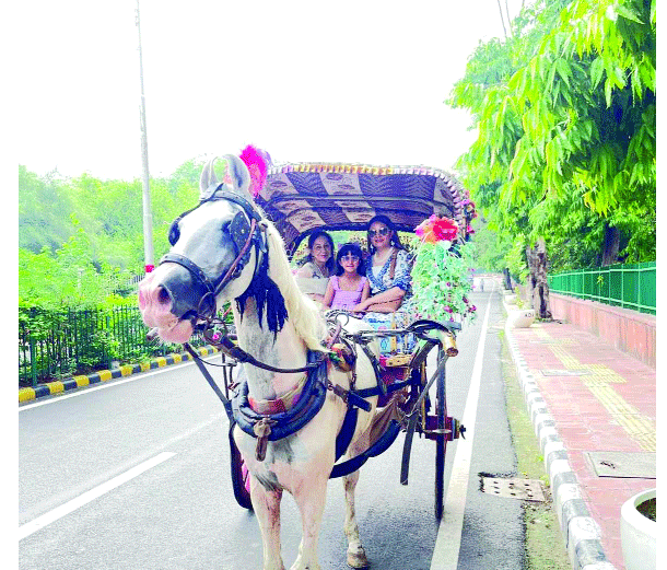 The Memory of Slow Journeys