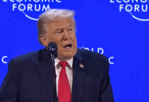 US Envoy rebukes Greenland PM over rejection of hospital ship offer