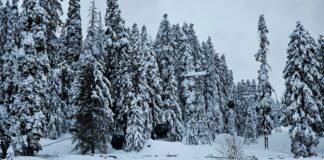 Minimum Temperatures Rise In Kashmir As Chillai Kalan Ends