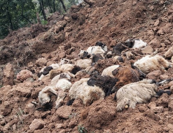 Landslide Buries Dozens Of Livestock In J&K's Kishtwar Landslide Buries Dozens Of Livestock In J&K's Kishtwar