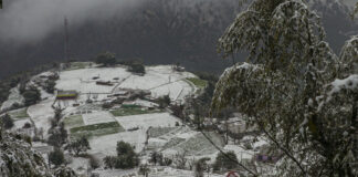 Fresh Snowfall In Parts Of J&K; Weather To Remain Dry For Next 48 Hours