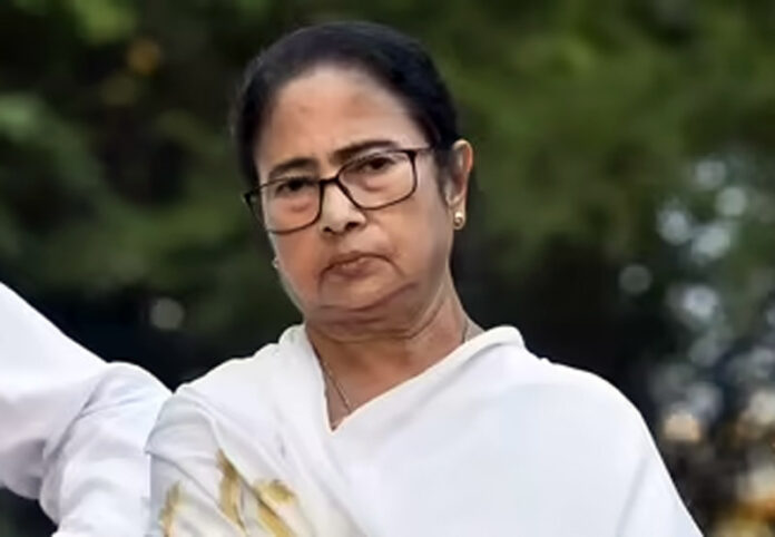 mamta