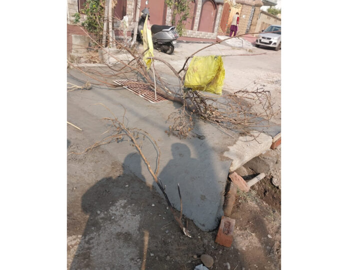 A culvert constructed by residents of JDA Colony, at Sector 1 Bantalab through contribution. A culvert constructed by residents of JDA Colony, at Sector 1 Bantalab through contribution.