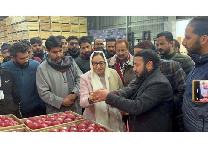 Dr Syed Darakhshan Andrabi assessing the condition of the apple crop at a cold storage facility in Lassipora on Friday.