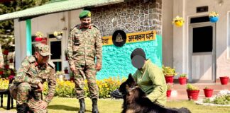 Bullet-Wounded Canine Soldier ‘Tyson’ Recovering Well: Indian Army