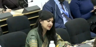 J&K’s Developmental Budget More Than Double Recent Bailout Package Pak Sought From IMF: India