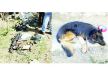 Jaish comdr Saifullah among three dreaded terrorists killed by Army in Kishtwar gun battle M4 carbine recovered from the encounter site (left) and injured sniper dog (right)