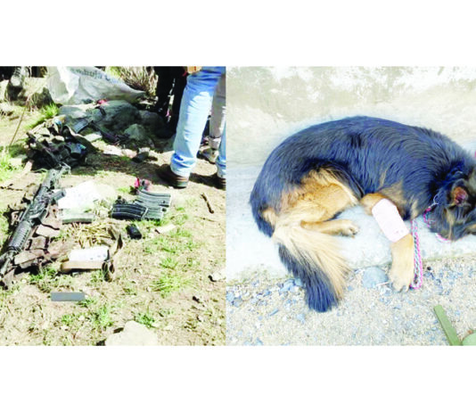 M4 carbine recovered from the encounter site (left) and injured sniper dog (right)