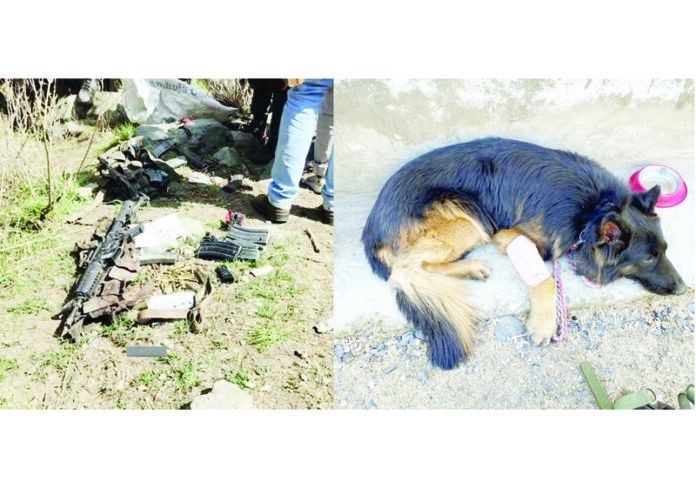 M4 carbine recovered from the encounter site (left) and injured sniper dog (right)