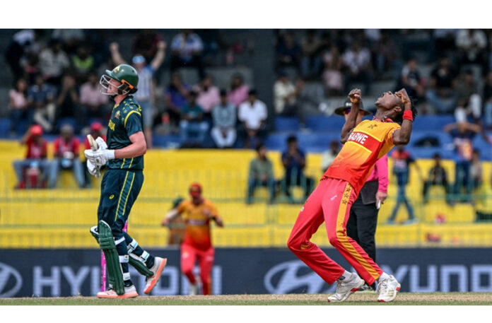 Zimbabwe bowler celebrating after taking a wicket against Australia on Friday.