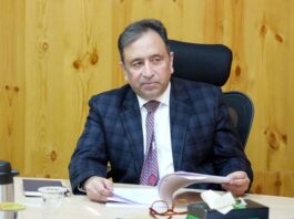 Chief Secretary Ashish Kundra chairing a meeting of officers in Leh on Saturday.