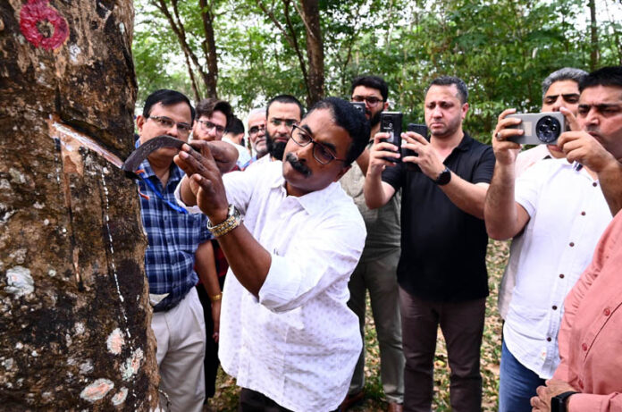 Journalists from Kashmir recording an official while extracting latex from a rubber tree in Kerala on Tuesday. Journalists from Kashmir recording an official while extracting latex from a rubber tree in Kerala on Tuesday.