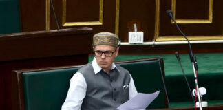 Indiscriminate Felling Of Walnut Trees Not Allowed, Says CM; Flags Economic Importance