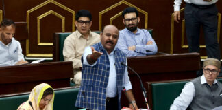 Selective Security For MLAs Is Mockery Of Democracy: J&K Dy CM