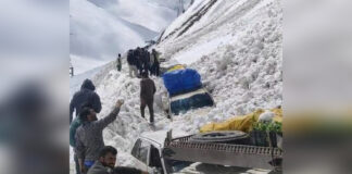 Snow Avalanche Buries Vehicles At Zojila, Rescue Operations Underway