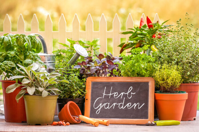 Herbal Garden
