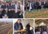 Javid Dar Inaugurates Tulip Garden At MCRS Sagam, Calls For Floriculture Led Rural Transformation