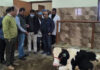 Javid Dar visited Animal Husbandry facility at Ranbirbagh, Ganderbal.