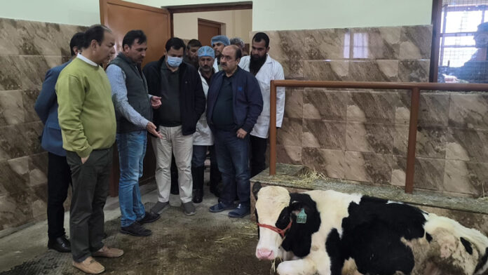 Javid Dar visited Animal Husbandry facility at Ranbirbagh, Ganderbal. Javid Dar visited Animal Husbandry facility at Ranbirbagh, Ganderbal.