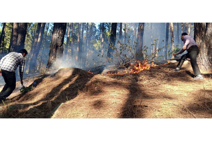 Locals dousing forest fire in Gambhir area of Rajouri. -Excelsior/Imran