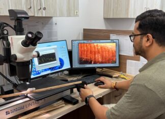 A spring without rain: Western Himalayas’ driest in four centuries