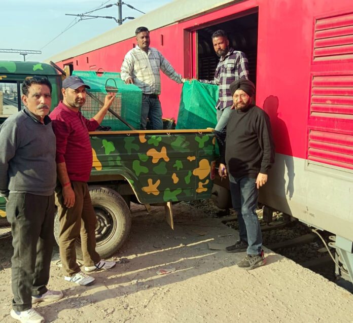 Zoo animals being shifted in train to Chennai.