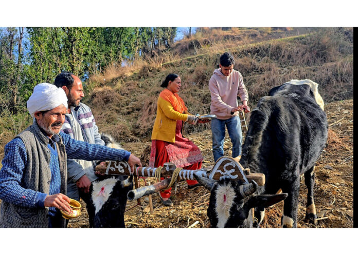 A view of people celebrating Dharamdes festival in Bhaderwah.