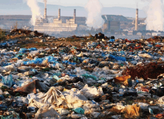 Soil Pollution: Environmental Concern and the Way Forward