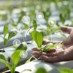 Aeroponics: A Highly Efficient and Sustainable Cultivation Technology