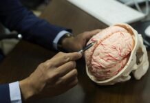 Physical, social factors may together account for up to 9 times higher risk of faster brain ageing: Study Physical, social factors may together account for up to 9 times higher risk of faster brain ageing: Study