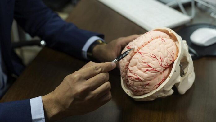 IMG_iStock-1554047481_2_1_S9EP39TC