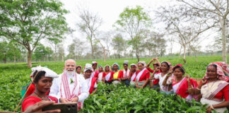 PM Visits Tea Garden In Poll-Bound Assam, Interacts With Women Workers