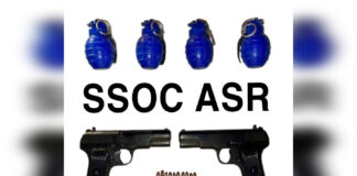 ISI-Backed Terror Module Busted, One Held With 4 Grenades: Punjab Police