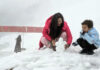 Tourists enjoying snowfall at Guldanda in Bhaderwah on Sunday. -Excelsior/Tilak Raj