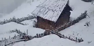 Fresh Spell Of Snow In Higher Reaches Of Kashmir, Plains Receive Showers