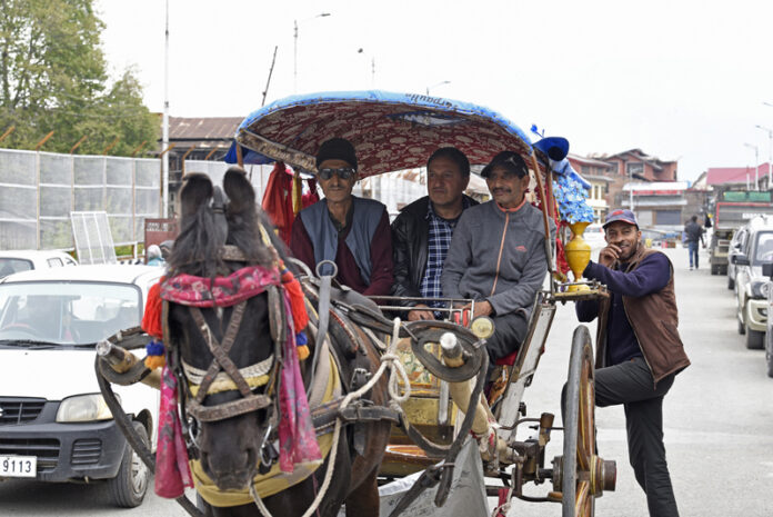 Bringing the lost era back to life, Ghulam Rasool Kumar (70) of Zaina Kadal area of Srinagar brings the traditional horse cart to the Srinagar city once again. -Excelsior/Shakeel