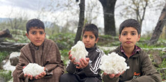 Children showing collected hail-balls in their hands in Shopian on Monday. -Excelsior/Younis Khaliq