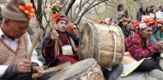 Drum beaters at Apricot Blossom Festival in Kargil on Wednesday.