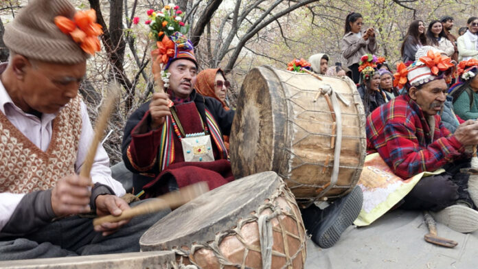Drum beaters at Apricot Blossom Festival in Kargil on Wednesday.