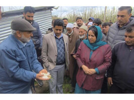 Minister Sakeena Itoo during visit to hail hit area on Tuesday.