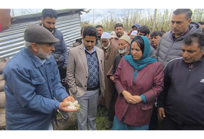 Minister Sakeena Itoo during visit to hail hit area on Tuesday.
