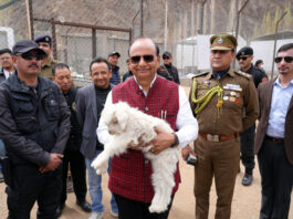 LG Ladakh, Vinai Kumar Saxena during his visit to Pashmina Goat Farm at Upshi.