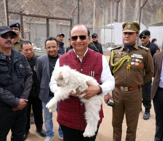 LG Ladakh, Vinai Kumar Saxena during his visit to Pashmina Goat Farm at Upshi.