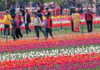 Tourists visiting Tulip Garden in Srinagar on Saturday.