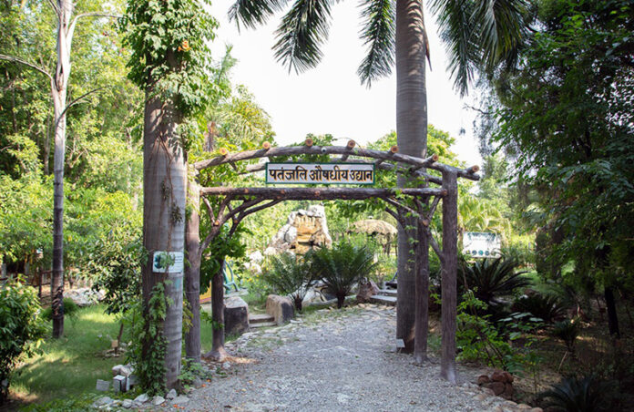 A view of Patanjali’s medicinal garden at Haridwar in Uttarakhand.
