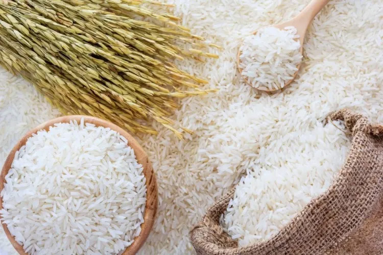 W Asia crisis: Rice exports  dip 7.5 pc to USD 11.53 bn in 2025-26
