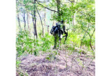 Troops continue searches in Gambhir Mugalan forests of Rajouri on Sunday. -Excelsior/Imran